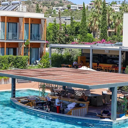 Celeste Bella Luxury &